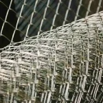 توری-مرغی